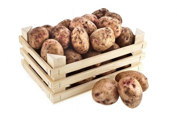 Умови зберігання картоплі