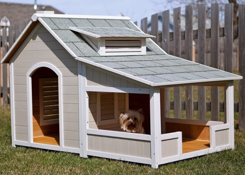 Будинок для собаки – затишне житло для кімнатного улюбленця