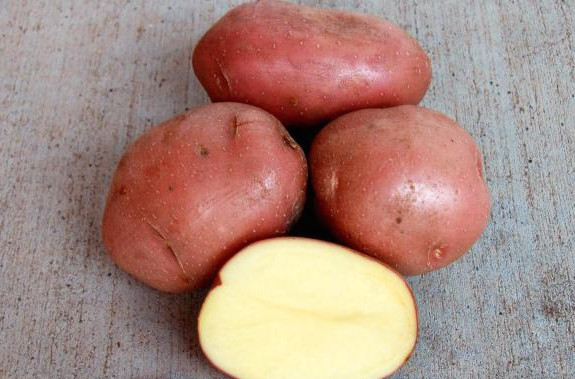 Сорти картоплі - опис і характеристики