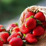 Як отримати хороший урожай полуниці