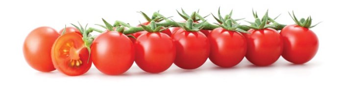 урожайні сорти томатів