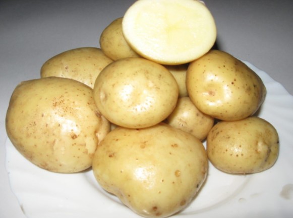 Чим обробляти картоплю перед посадкою?