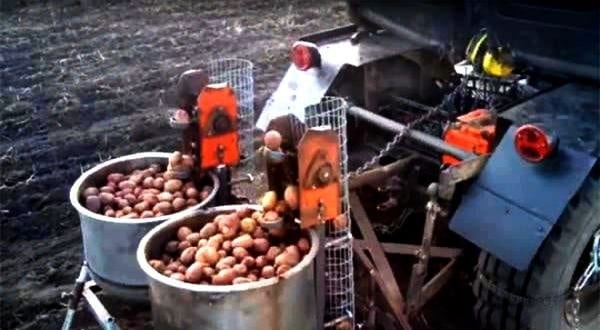 Картоплесаджалка дворядна для трактора своїми руками