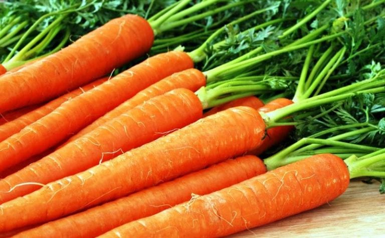 Чи треба обрізати морквяну гичку: розбираємося, як не погубити урожай