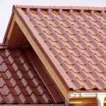 Елементи безпеки даху: призначення, види та особливості установки