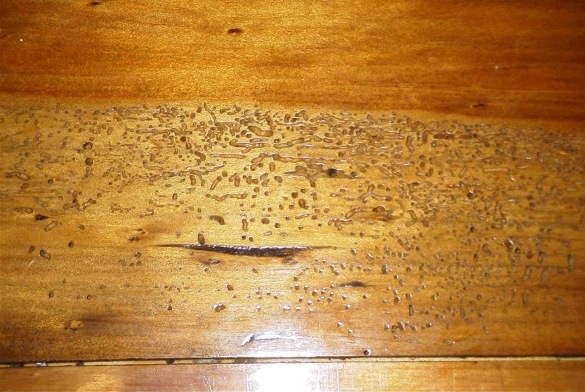 Чим пофарбувати дерев'яну підлогу на відкритій веранді